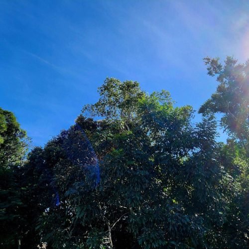 CASA BOSSA NOVA M.11-imagens-33