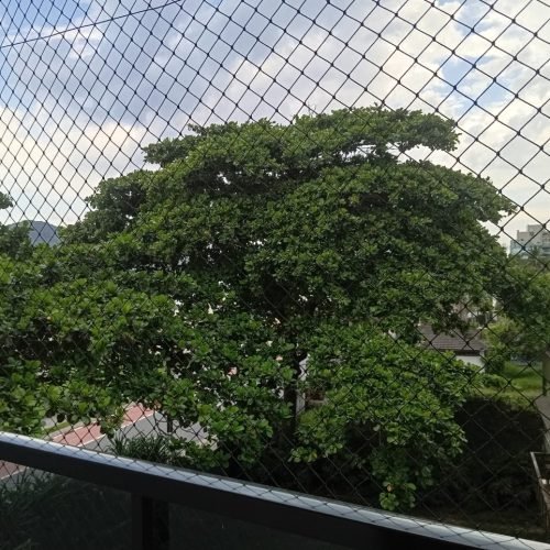 IMG-20250217-WA0118