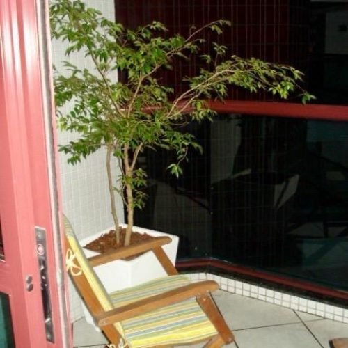 IMG-20250303-WA0812