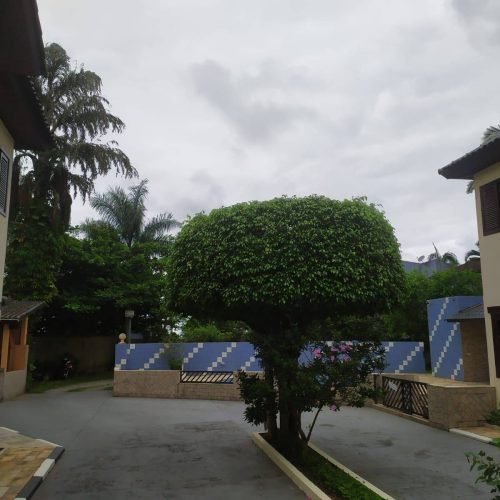 IMG-20250310-WA0041