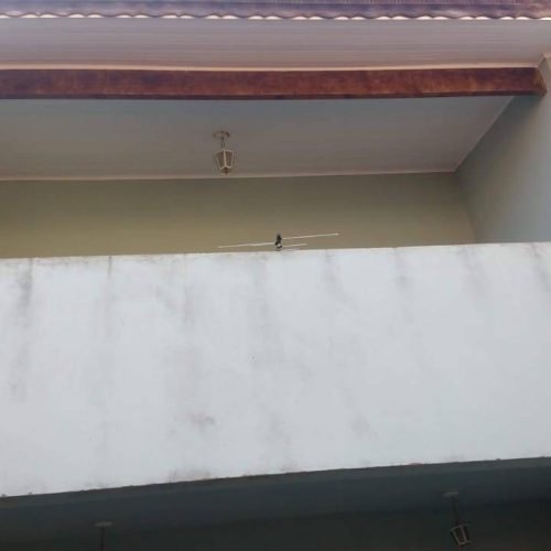 IMG-20250312-WA0023