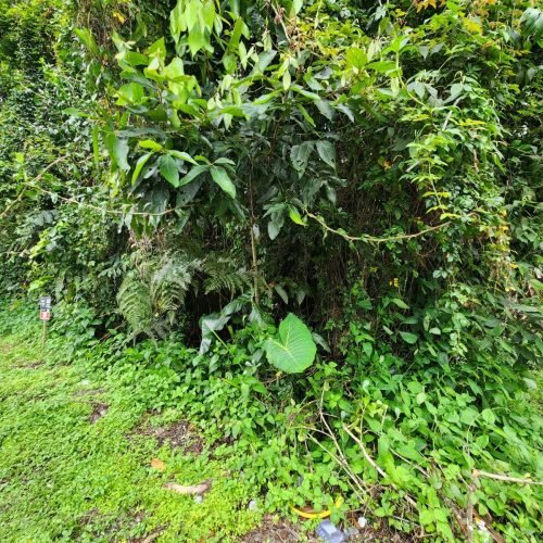 IMG-20250429-WA0034