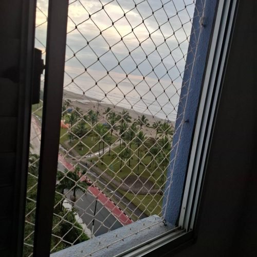 IMG-20250722-WA0010